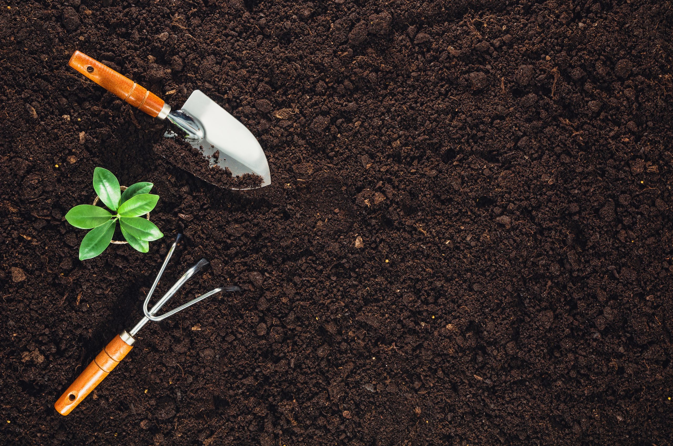 Soil preparation image