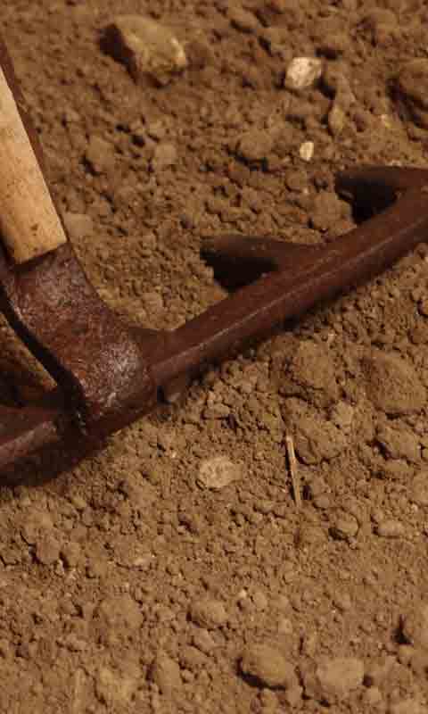 Soil preparation image